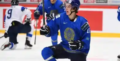 из открытых источников