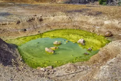 Стало известно о пяти самых острых экологических проблемах Атырауской области
