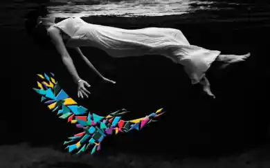 коллаж VRK.News