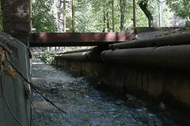 Новорожденного нашли в арыке Алматы