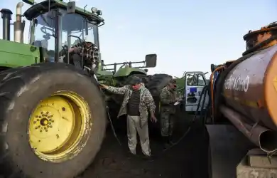 иллюстративное фото