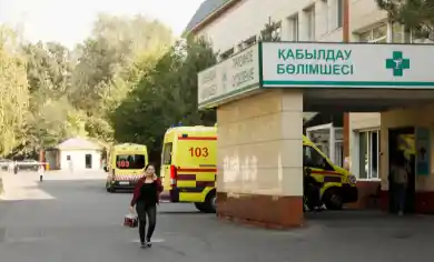 иллюстративное