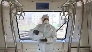 иллюстративное