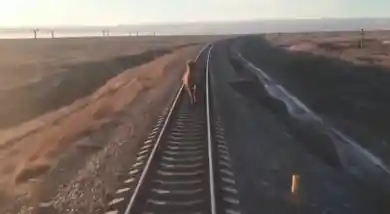 кадр из видео