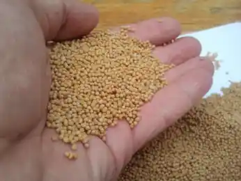 иллюстративное