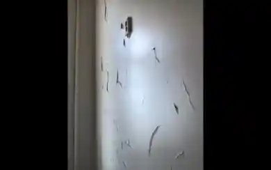 кадр из видео