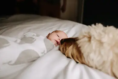 В поезде приняли роды — родился мальчик