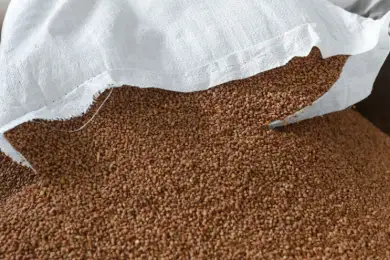 Вводится запрет на вывоз гречки и риса из стран ЕАЭС из-за вируса