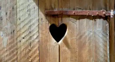 иллюстративное фото