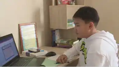 иллюстративное