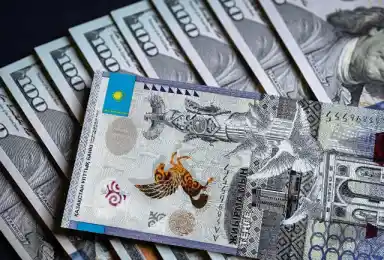 иллюстративное