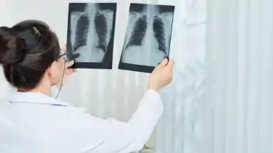 иллюстративное