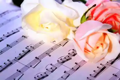 иллюстративное