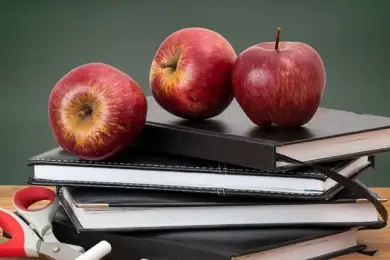 Инфографика: штрафы за нарушения статуса педагога в Казахстане