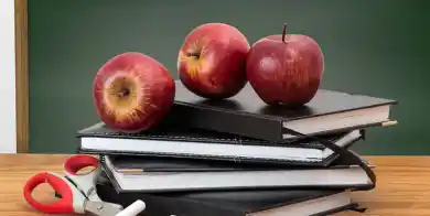 из открытых источников