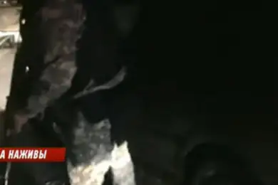 Разбойники с большой трассы: спецназ обезвредил банду в Алматинской области