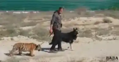 кадр из видео