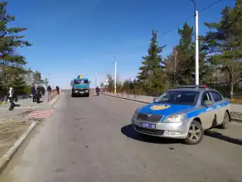 иллюстративное