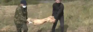 кадр из видео