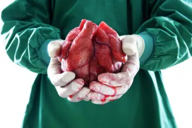 Новые правила донорства в Казахстане: мифы и правда