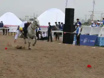 Cпортсмены из Казахстана выиграли чемпионат Азии по Тенге алу