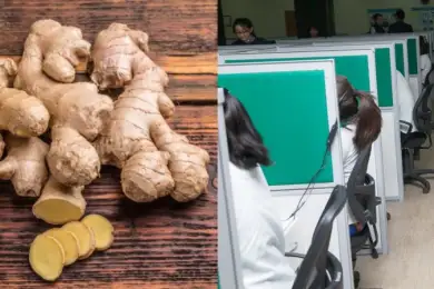 Почему подорожал имбирь. За операторов 1414 отвечает министр Жумагалиев