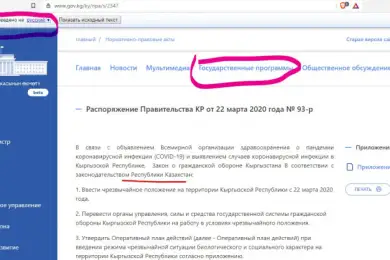 Распоряжение правительства Кыргызстана — плагиат у Казахстана? Виноват Google
