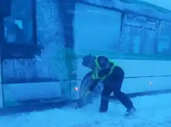 иллюстративное фото