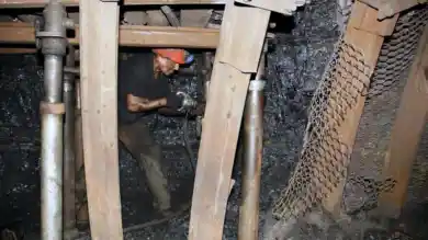 иллюстративное фото