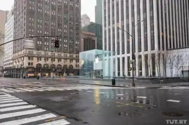 иллюстративное