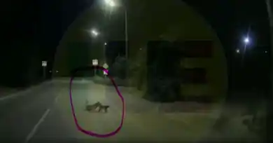 кадр из видео