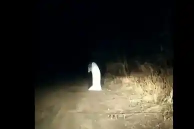 кадр из видео