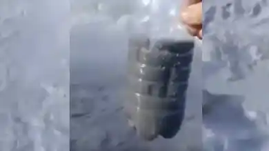 кадр из видео