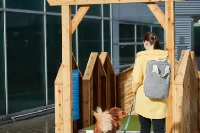 Собаки обрели свой туалет в аэропорту Хельсинки