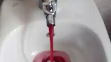 Вино из крана