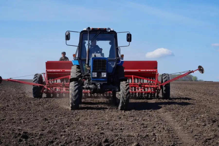 иллюстративное