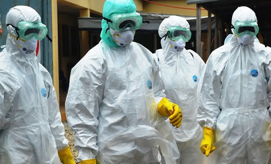 иллюстративное