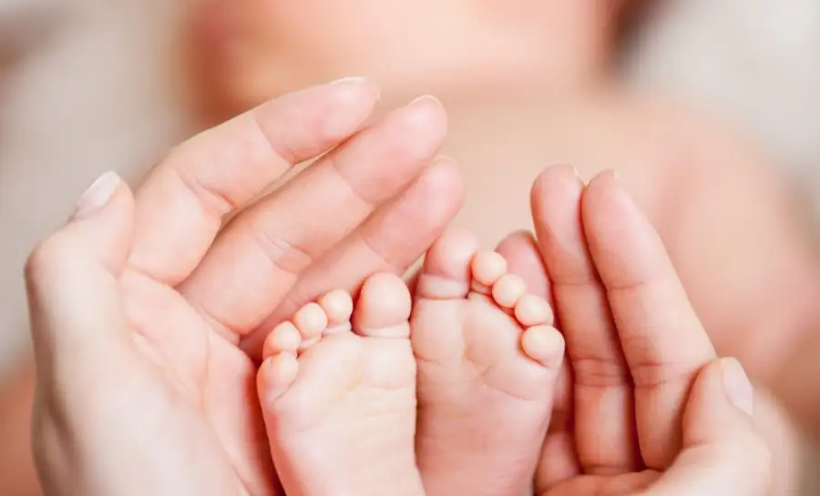 иллюстративное фото