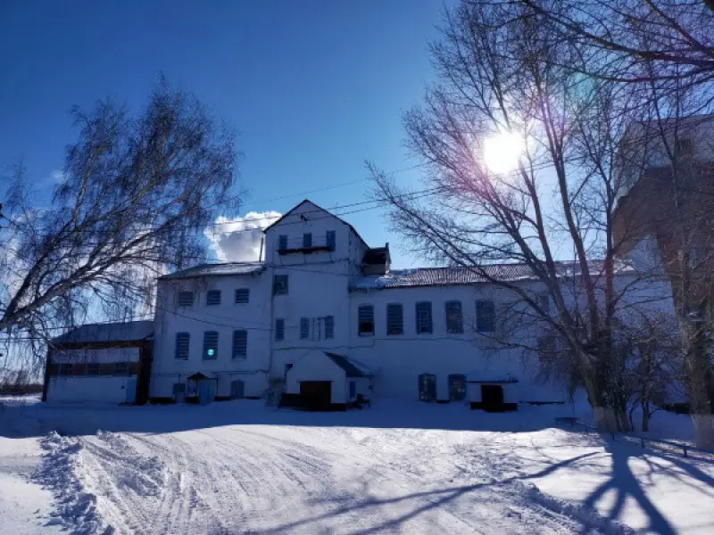 Село ликует! Завод не закрывают — аким области вмешался в ситуацию