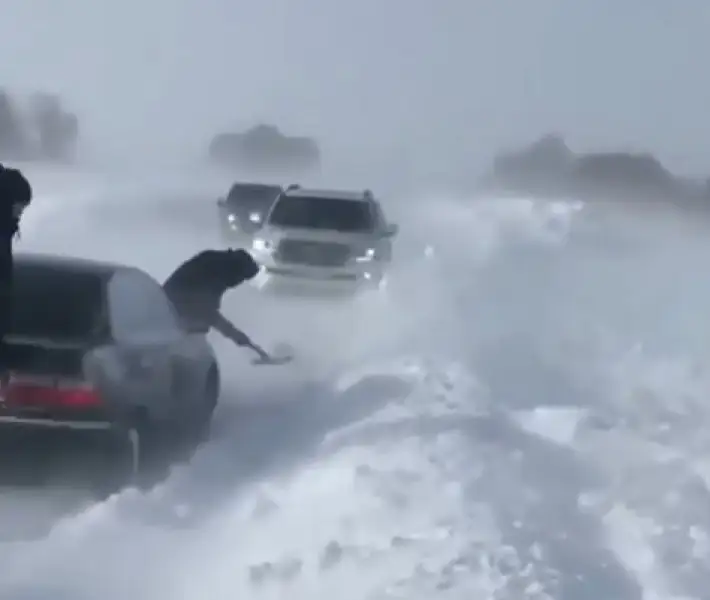 кадр из видео