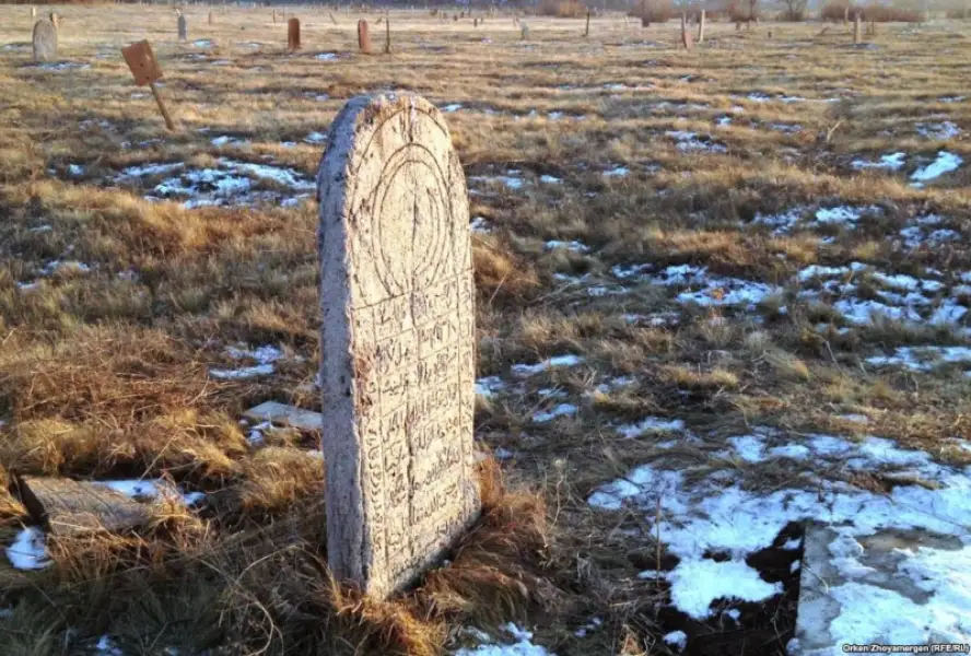 иллюстративное