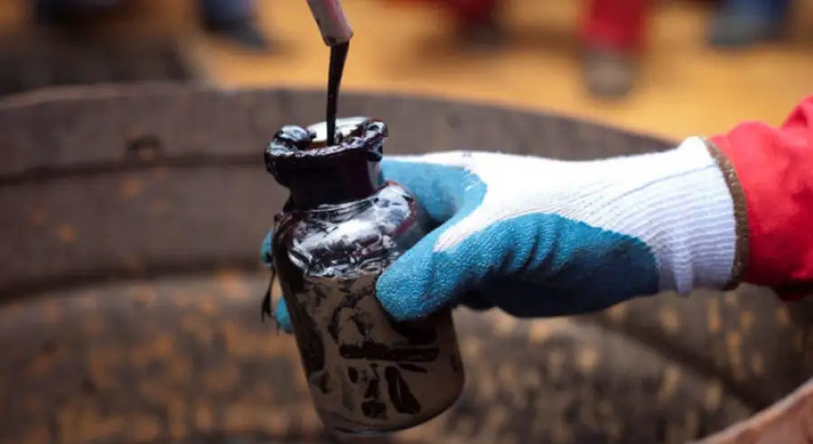 иллюстративное фото