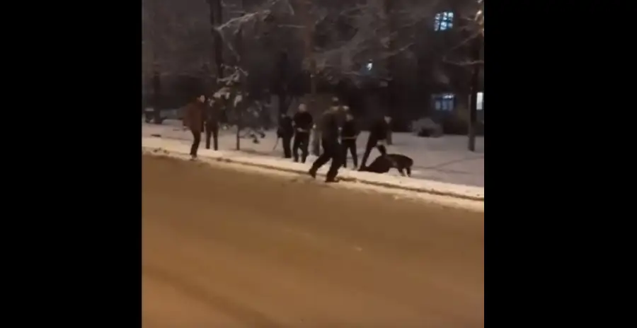 кадр из видео