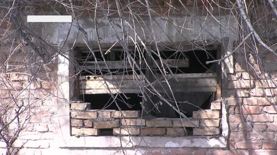 кадр из видео