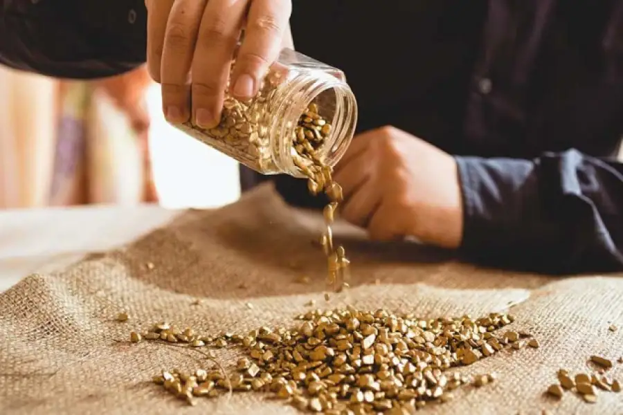 иллюстративное