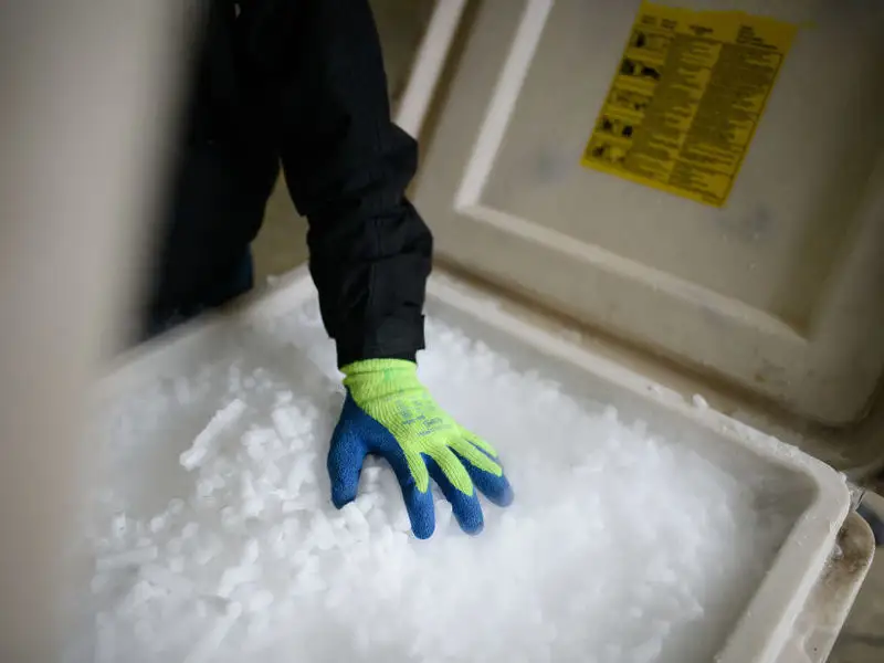 вакцина Pfizer должна храниться при температуре -70