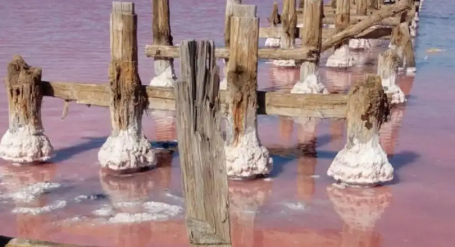 Розовое озеро