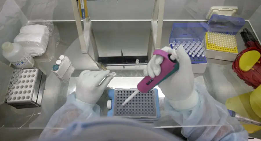 из открытых источников