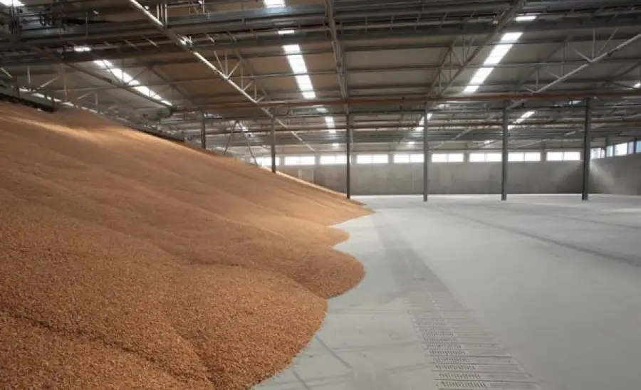 иллюстративное фото