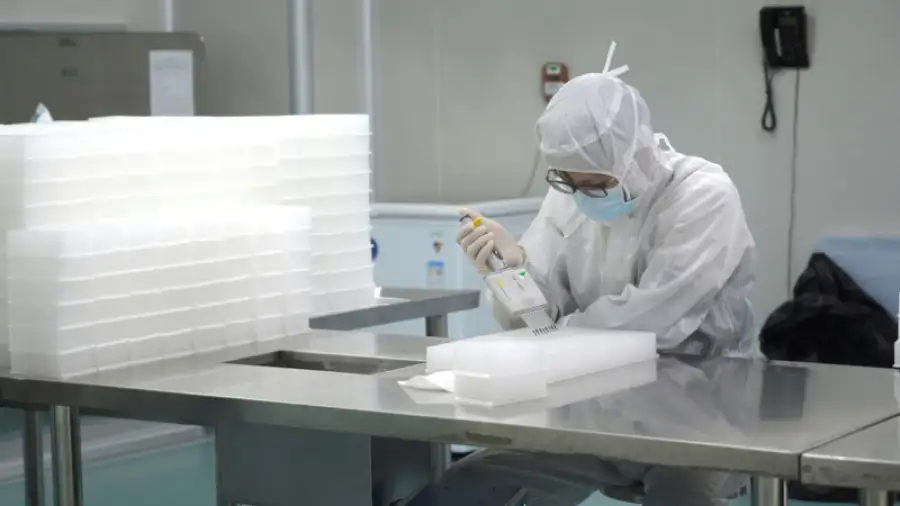 иллюстративное фото